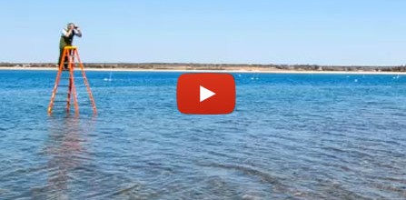 Boxers, Briefs and Luxury Real Estate