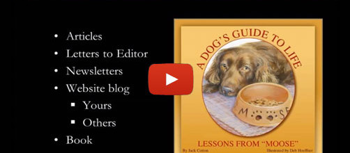 7 Tips on Writing for Your Luxury Real Estate Business