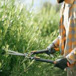 Man trimming a bush. Embrace the Concept of Gardening.