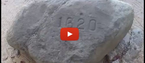 Wishing You a Happy Thanksgiving