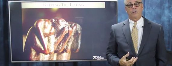 Keeping Your Luxury Listings Keeping Your Luxury Listings