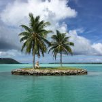 Image of a paradise island with palm trees